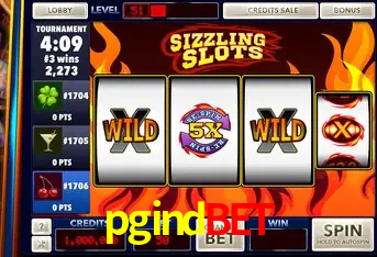 Descubra o Mundo do Cassino Online com pgindbet